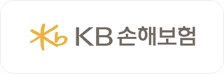 KB 손해보험